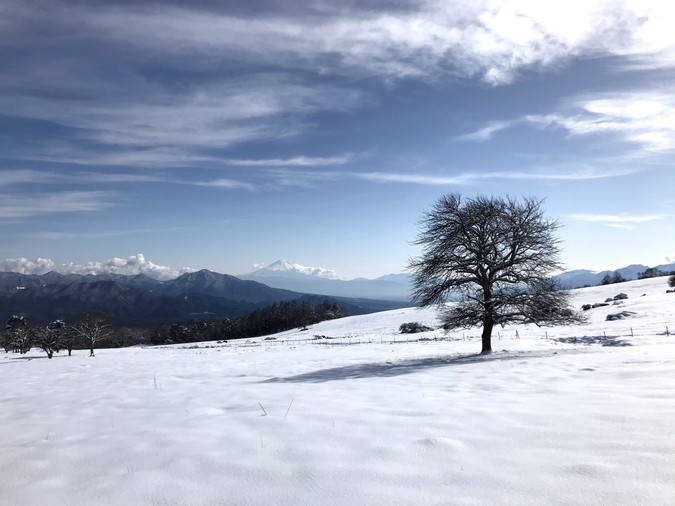 清里トレッキング 冬の回 ~八ヶ岳の大パノラマコースを歩く~